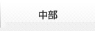 中部