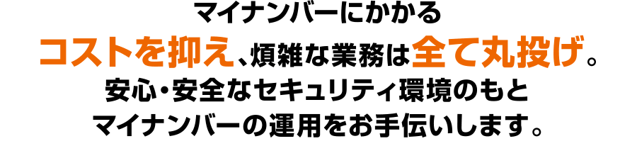 マイナンバーにかかるコストを抑え、煩雑な業務は全て丸投げ。安心・安全なセキュリティ環境のもとマイナンバーの運用をお手伝いします。
